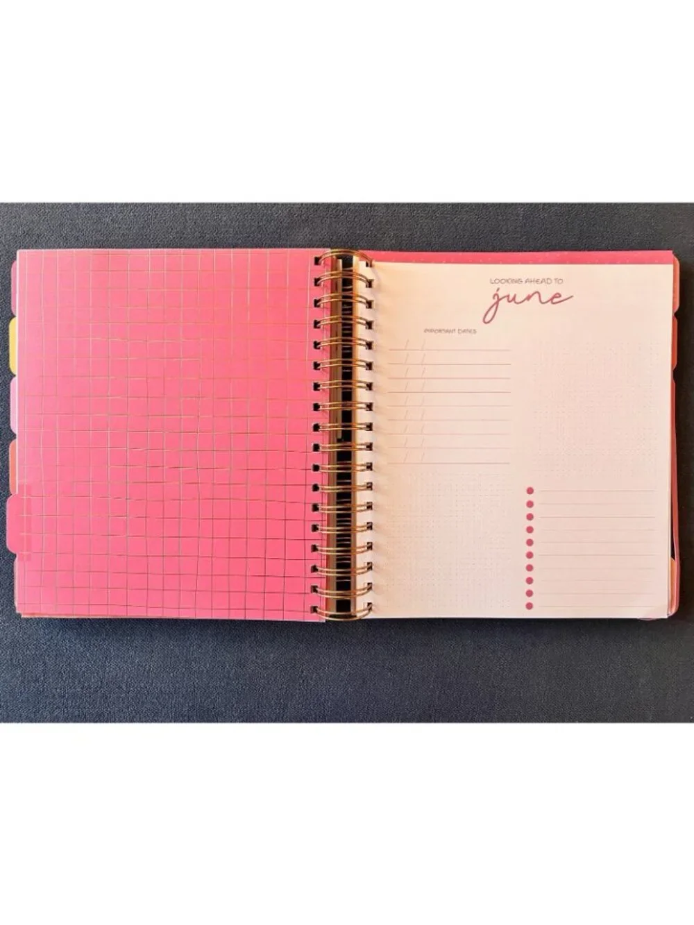 PINK COWGIRL 17 Month 2026-2027 Planner Month Day Week Organizer Planning Note